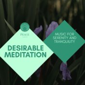 Desirable Meditation - Music For Serenity And Tranquility