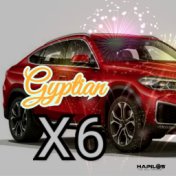 X6