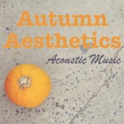Autumn Aesthetics Acoustic Music