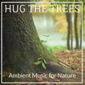 Hugs the Trees : Ambient Music for Nature