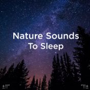Nature Sounds To Sleep