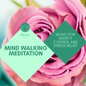 Mind Walking Meditation - Music For Anxiety Control And Stress Relief