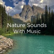 Nature Sounds With Music