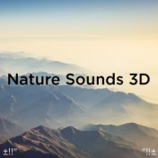Nature Sounds 3D