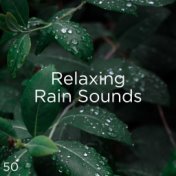 50 Relaxing Rain Sounds