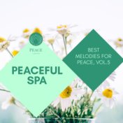 Peaceful Spa - Best Melodies For Peace, Vol.5