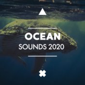 Ocean Sounds 2020