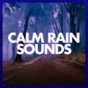 Calm Rain Sounds