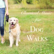 Classical Music for Dog Walks