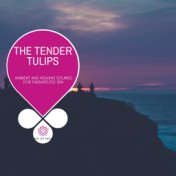 The Tender Tulips - Ambient And Healing Sounds For Therapeutic Spa