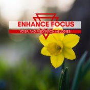 Enhance Focus - Yoga And Meditation Melodies