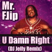 U Damn Right (DJ Jelly Remix)