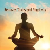 Removes Toxins and Negativity