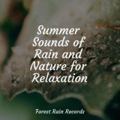 Summer Sounds of Rain and Nature for Relaxation