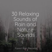 30 Relaxing Sounds of Rain and Nature Sounds