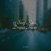 25 Sleep Rain Droplet Tracks