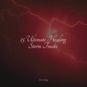 25 Ultimate Healing Storm Tracks