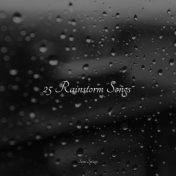 25 Rainstorm Songs