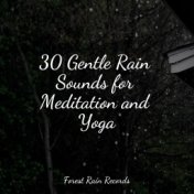 30 Gentle Rain Sounds for Meditation and Yoga