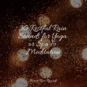 30 Restful Rain Sounds for Yoga or Spa & Meditation