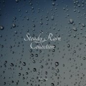 Steady Rain Collection