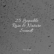 25 Loopable Rain & Nature Sounds