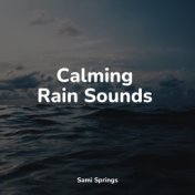 Calming Rain Sounds