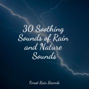30 Soothing Sounds of Rain and Nature Sounds