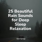 25 Beautiful Rain Sounds for Deep Sleep Relaxation