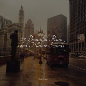 25 Beautiful Rain and Nature Sounds