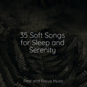35 Soft Songs for Sleep and Serenity