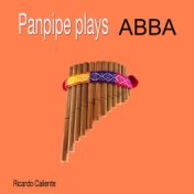 Panpipe Plays Abba