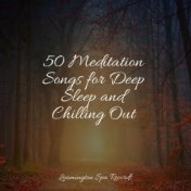 50 Meditation Songs for Deep Sleep and Chilling Out