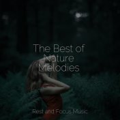 The Best of Nature Melodies