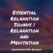 Essential Relaxation Sounds | Relaxation and Meditation