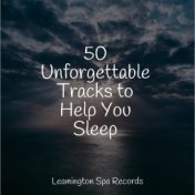 50 Unforgettable Tracks to Help You Sleep