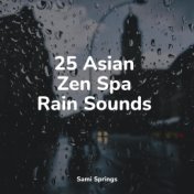 25 Asian Zen Spa Rain Sounds