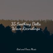 35 Soothing Delta Wave Recordings
