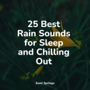 25 Best Rain Sounds for Sleep and Chilling Out