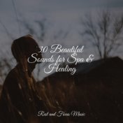 30 Beautiful Sounds for Spa & Healing