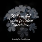 50 Powerful Tracks for Sleep Compilation
