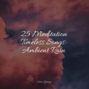 25 Meditation Timeless Songs: Ambient Rain