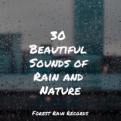 30 Beautiful Sounds of Rain and Nature