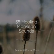 35 Healing Monsoon Sounds