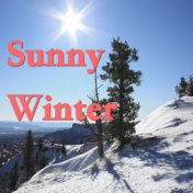 Sunny Winter