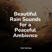 Beautiful Rain Sounds for a Peaceful Ambience