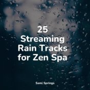 25 Streaming Rain Tracks for Zen Spa