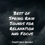 Best of Spring Rain Sounds for Relaxation and Focus