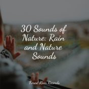 30 Sounds of Nature: Rain and Nature Sounds