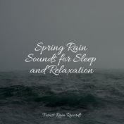 Spring Rain Sounds for Sleep and Relaxation